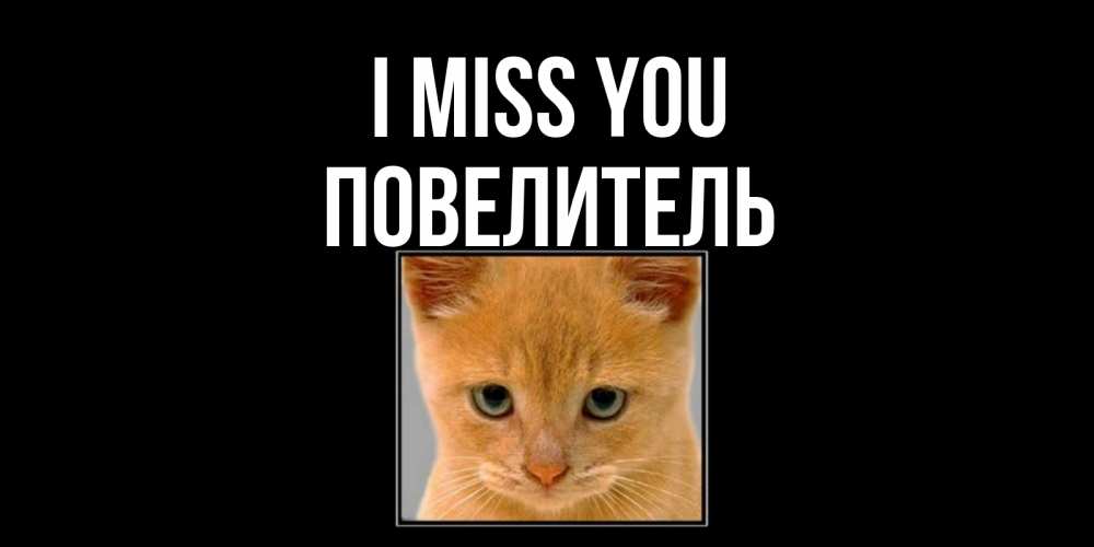 Greetings card с именем, Повелитель I miss you открытки рыжий котенок скучает по тебе Greetings with text for free download 
