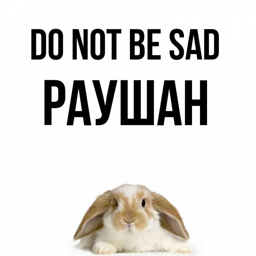 Greetings card с именем, РАУШАН Do not be sad коричнево белый заяц с большими ушками Greetings with text for free download 