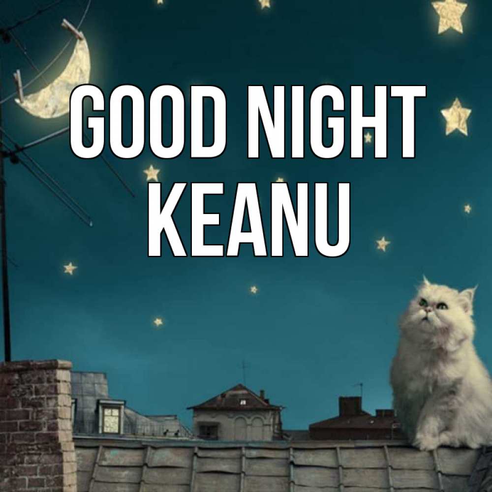 Greetings card с именем, Keanu Good night белый кот сидит на крыше Greetings with text for free download 