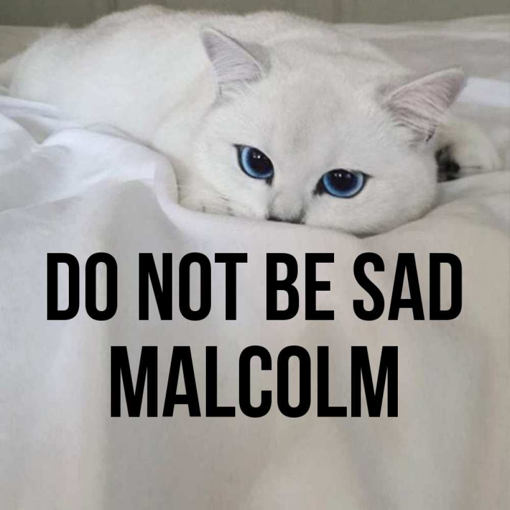 Greetings card с именем, Malcolm Do not be sad Голубоглазая кошка Greetings with text for free download 