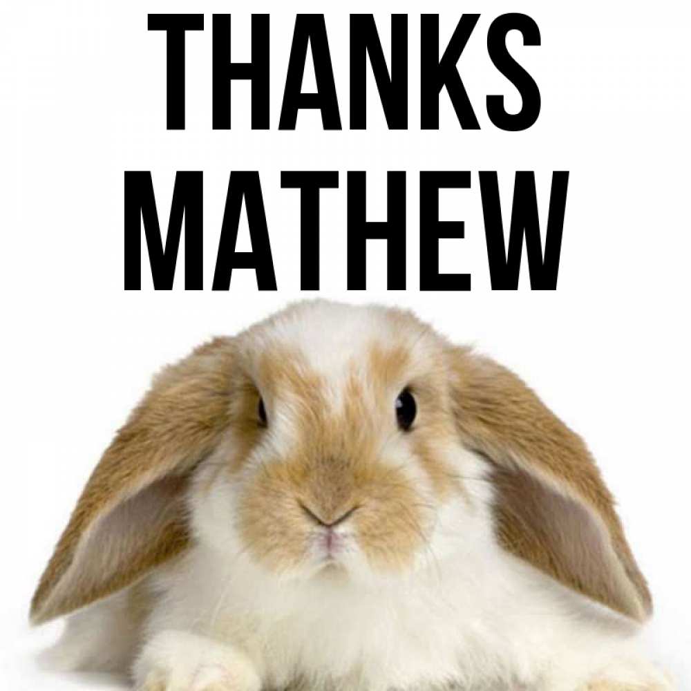 Greetings card с именем, Mathew Thanks коричнево белый заяц Greetings with text for free download 