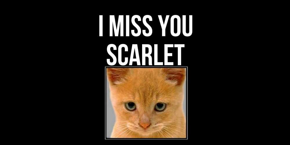 Greetings card с именем, Scarlet I miss you открытки рыжий котенок скучает по тебе Greetings with text for free download 