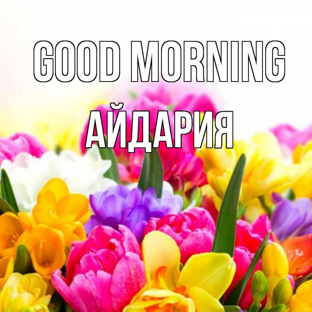 Greetings card с именем, АЙДАРИЯ Good morning создать открытку со свое подписью Greetings with text for free download 