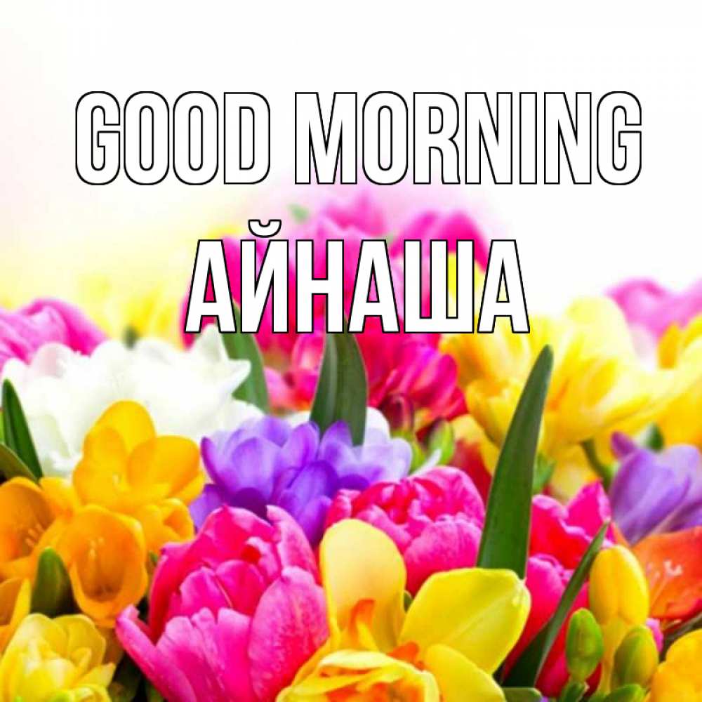 Greetings card с именем, АЙНАША Good morning создать открытку со свое подписью Greetings with text for free download 