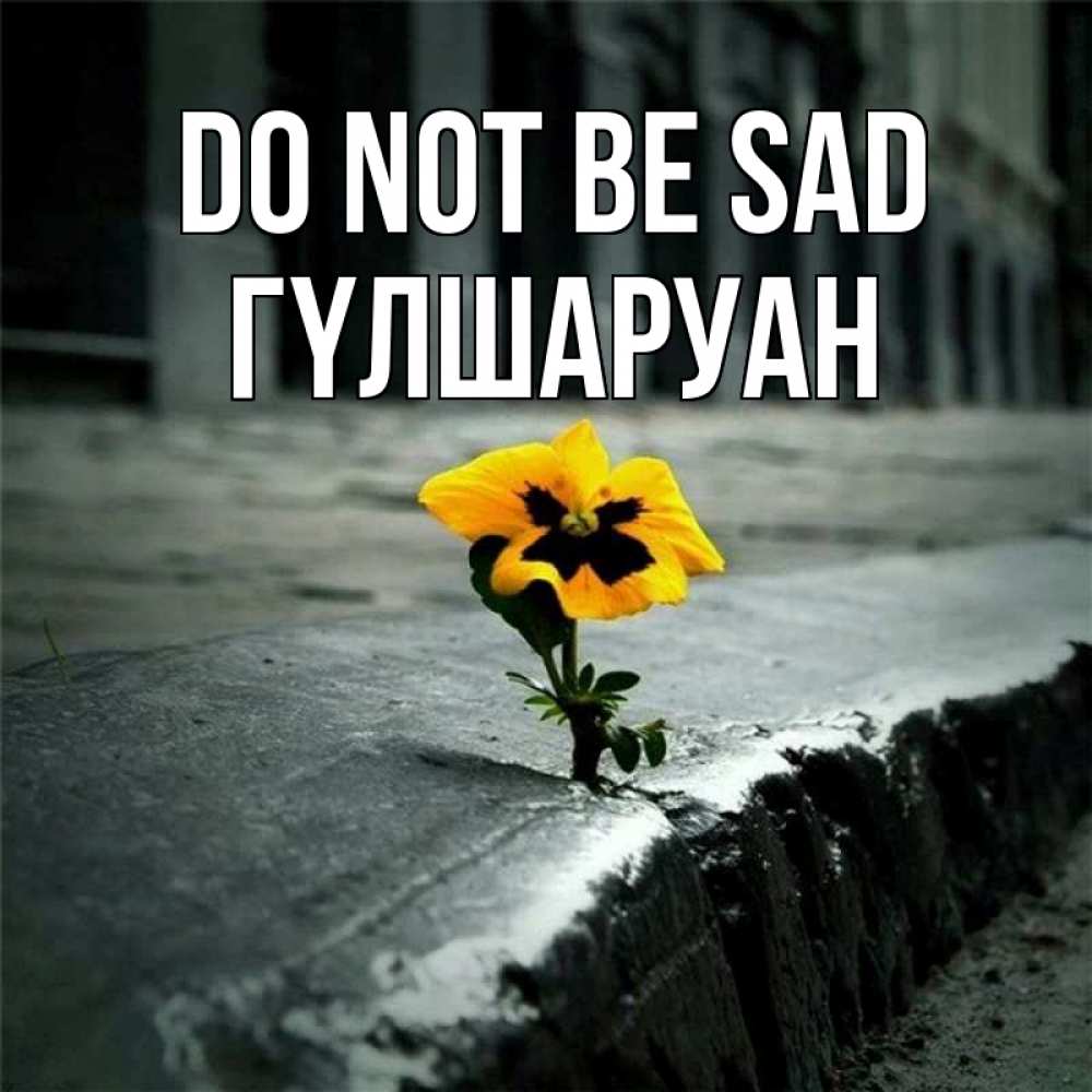 Greetings card с именем, ГҮЛШАРУАН Do not be sad не сдавайся Greetings with text for free download 