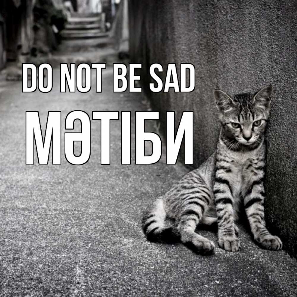 Greetings card с именем, МӘТІБИ Do not be sad скучающий котик Greetings with text for free download 