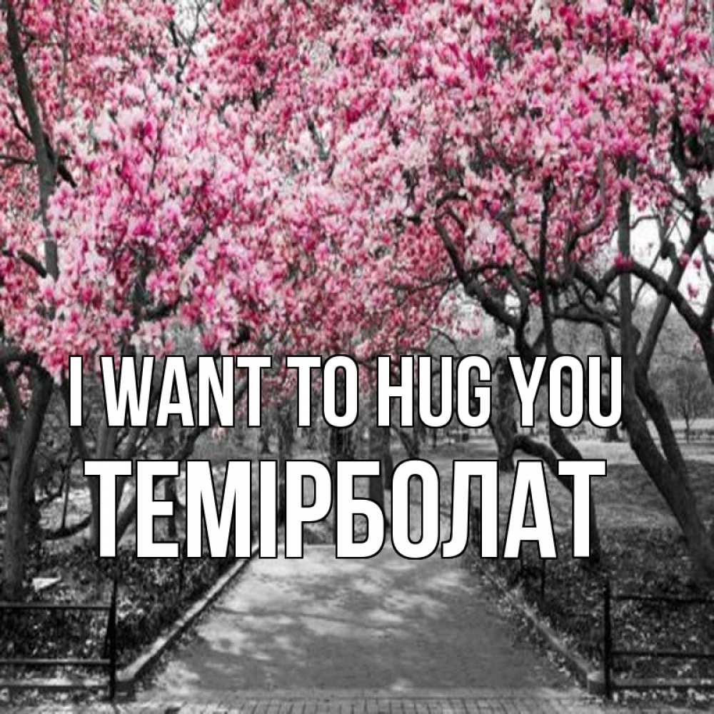 Greetings card с именем, ТЕМІРБОЛАТ I want to hug you обработанное фото Greetings with text for free download 