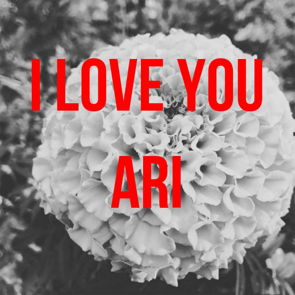 Greetings card с именем, Ari I love you подпись Greetings with text for free download 