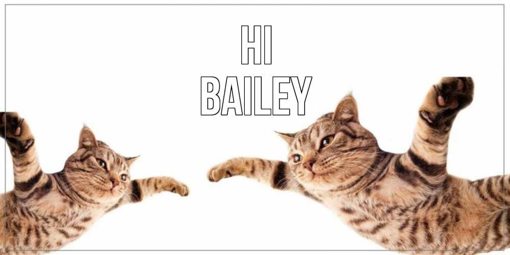 Greetings card с именем, Bailey Hi кот Greetings with text for free download 