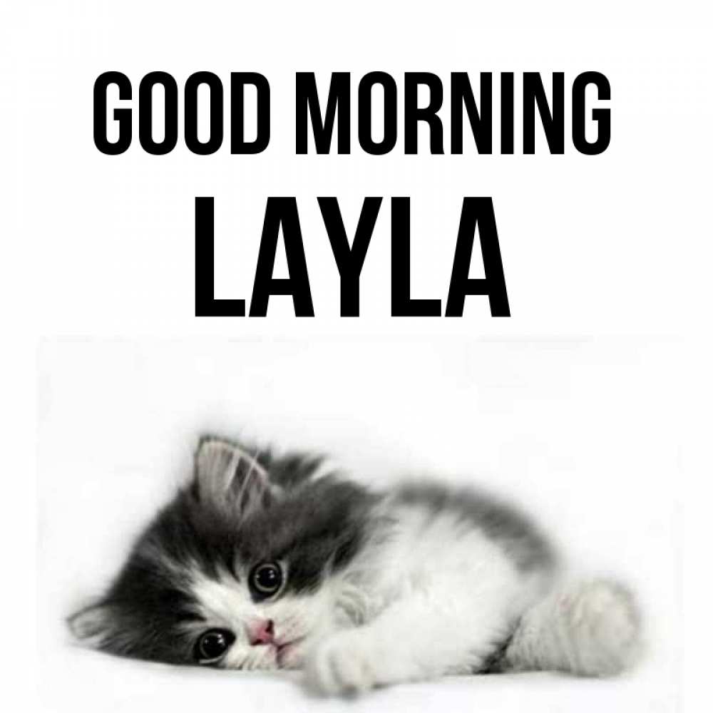 Greetings card с именем, Layla Good morning кот лапки Greetings with text for free download 