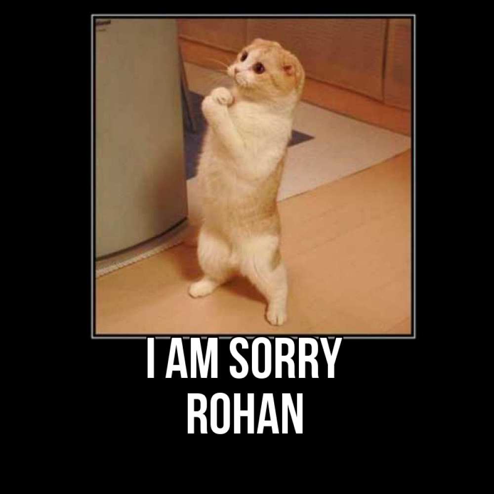 Greetings card с именем, Rohan I am sorry открытка с милым несчастным котиком просящим прощения Greetings with text for free download 