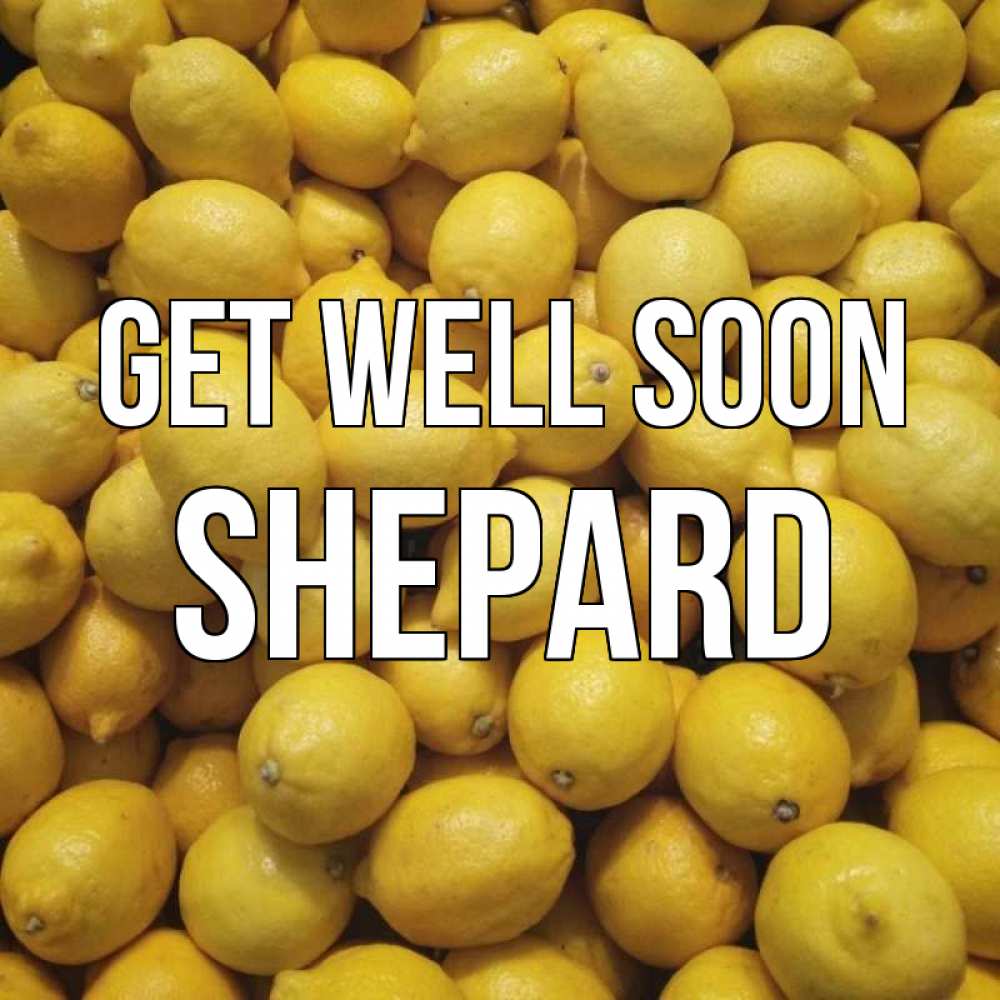 Greetings card с именем, Shepard Get well soon это точно поможет Greetings with text for free download 