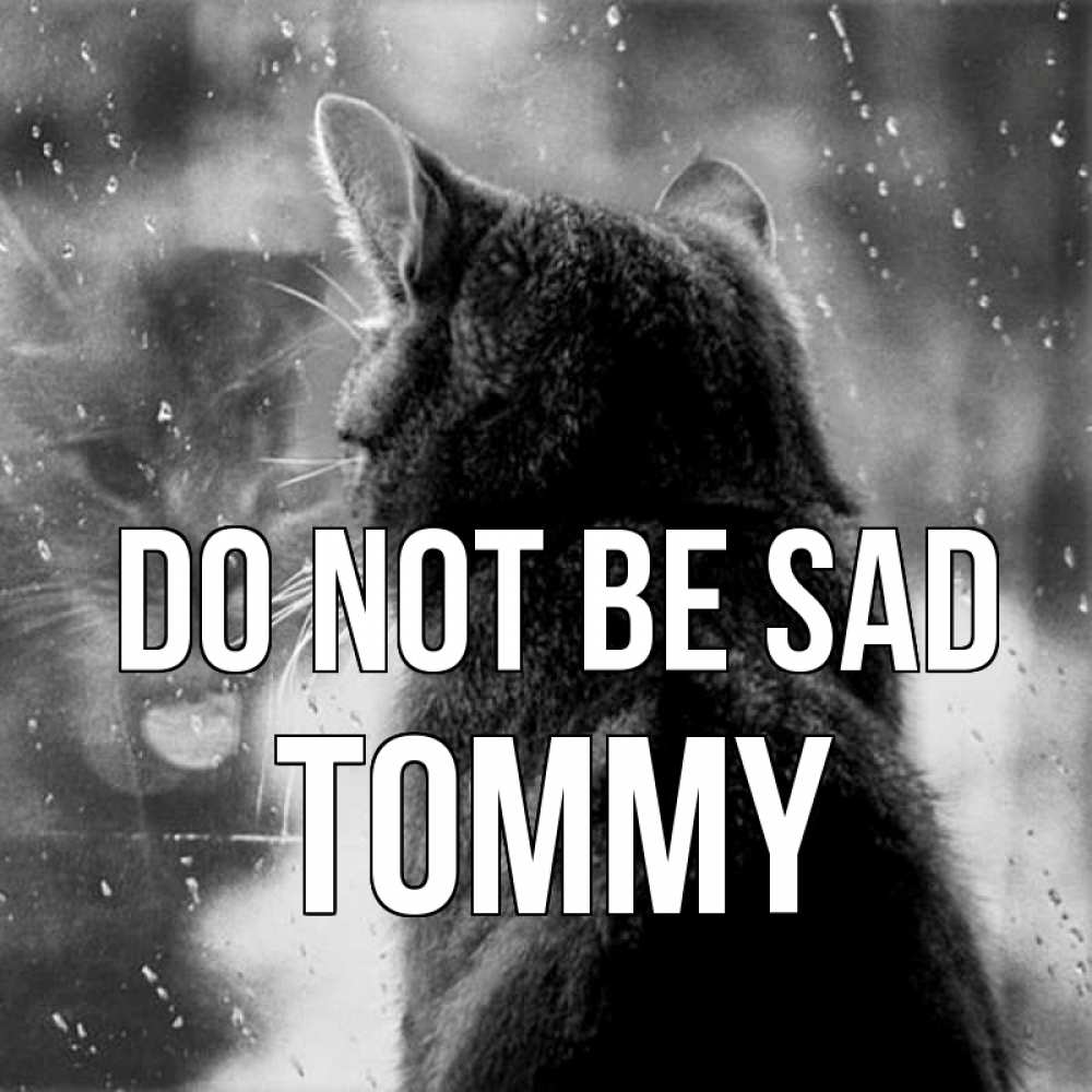 Greetings card с именем, Tommy Do not be sad отражение кота 1 Greetings with text for free download 