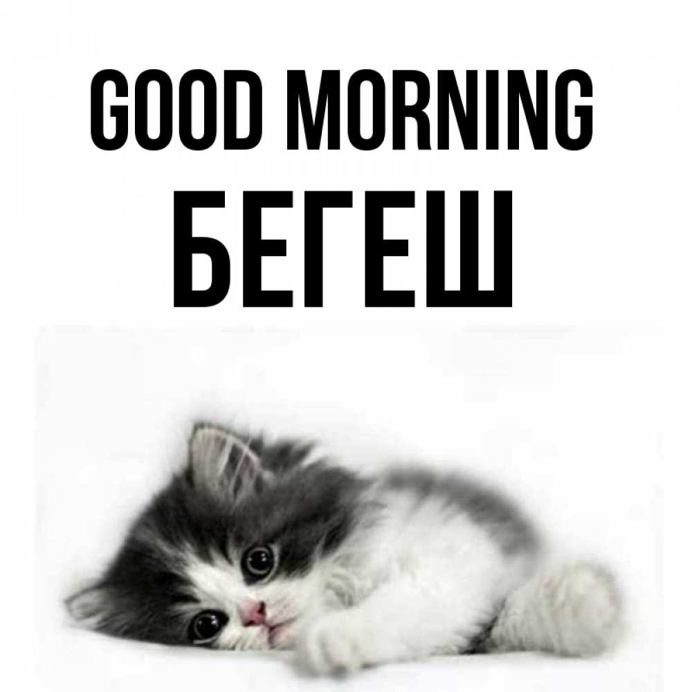 Greetings card с именем, Бегеш Good morning кот лапки Greetings with text for free download 
