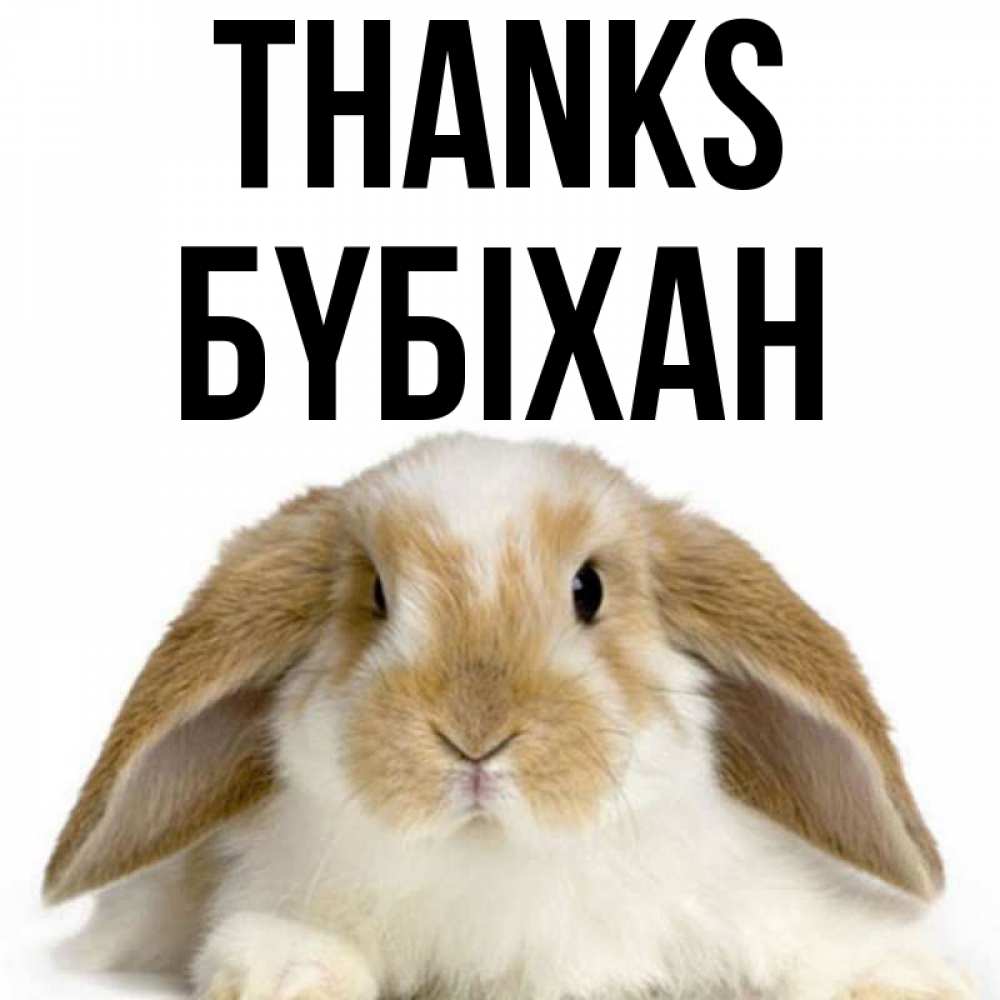 Greetings card с именем, БҮБІХАН Thanks коричнево белый заяц Greetings with text for free download 