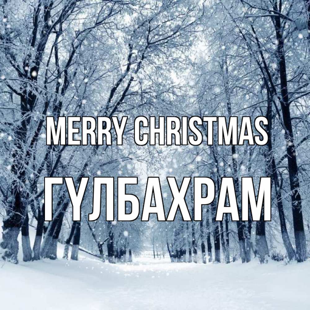 Greetings card с именем, ГҮЛБАХРАМ Merry Christmas снег, лес, парк Greetings with text for free download 