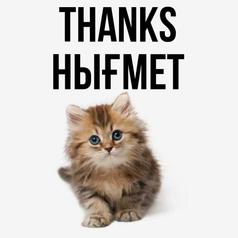 Greetings card с именем, НЫҒМЕТ Thanks пушистый котик Greetings with text for free download 