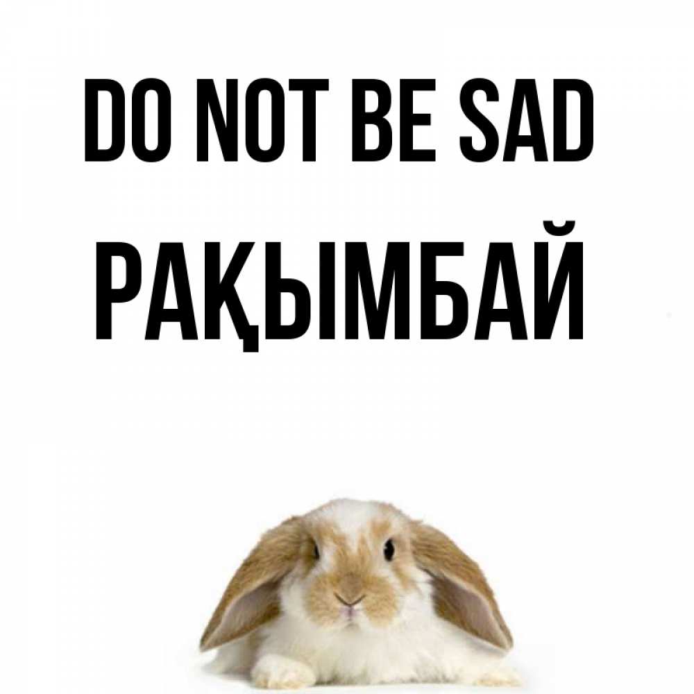 Greetings card с именем, Рақымбай Do not be sad коричнево белый заяц с большими ушками Greetings with text for free download 