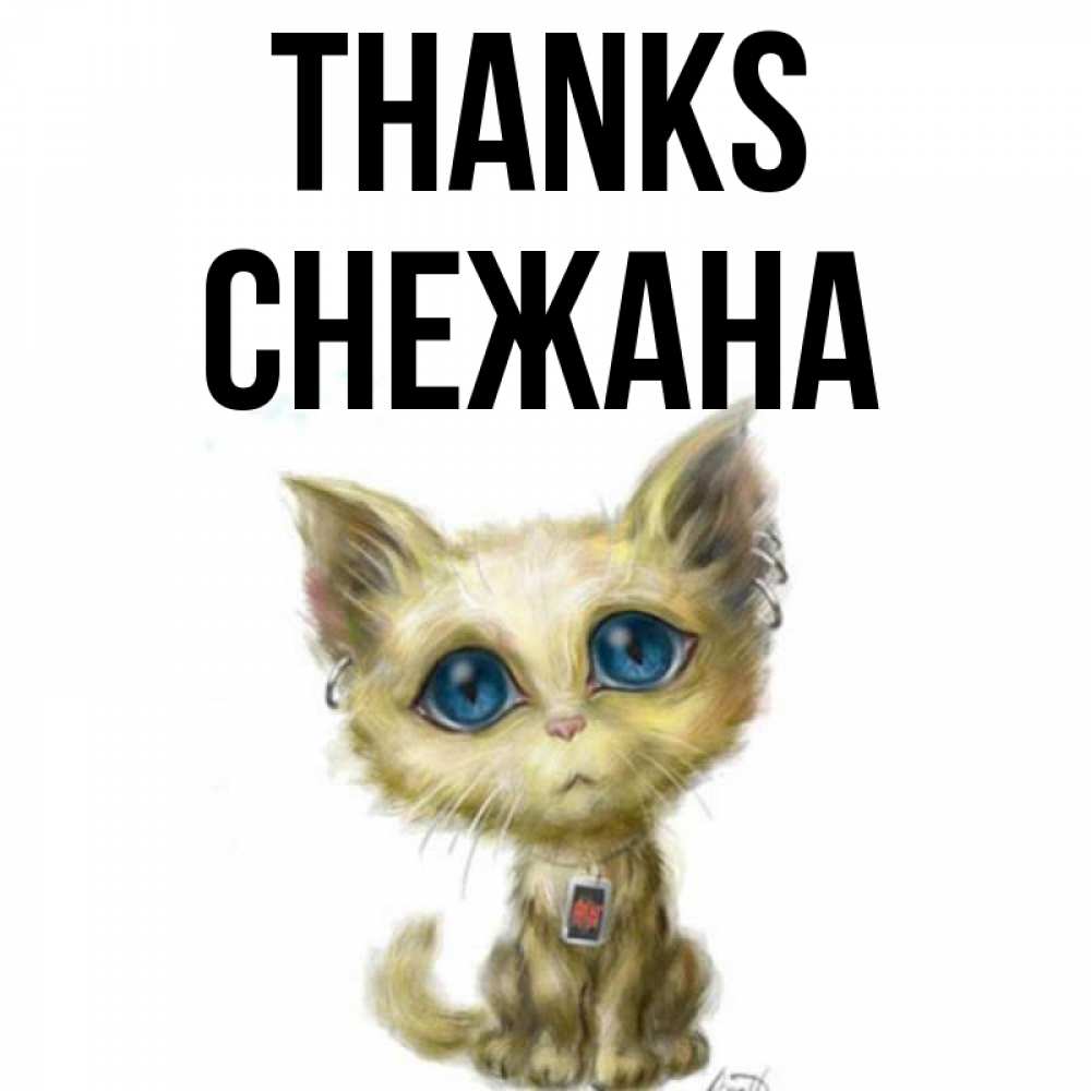 Greetings card с именем, Снежана Thanks рисованный кот благодарит вас Greetings with text for free download 