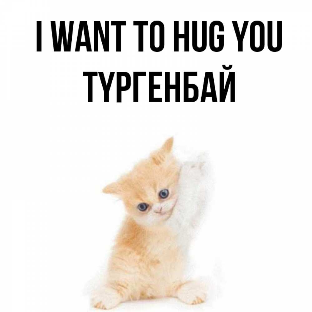 Greetings card с именем, ТҮРГЕНБАЙ I want to hug you я хочу очень скорее обнимаешек Greetings with text for free download 