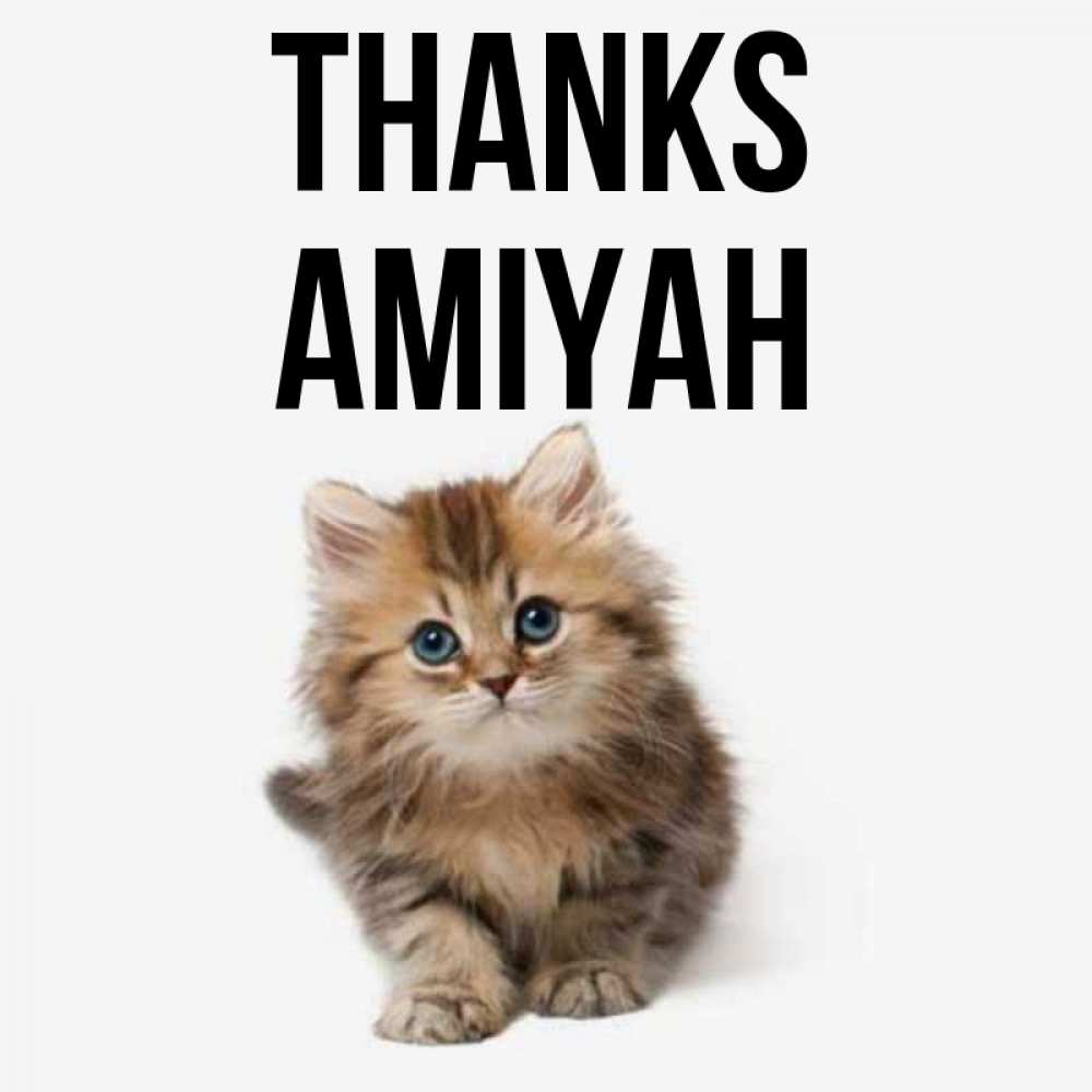 Greetings card с именем, Amiyah Thanks пушистый котик Greetings with text for free download 