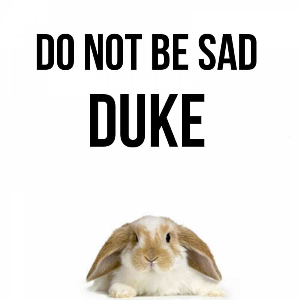 Greetings card с именем, Duke Do not be sad коричнево белый заяц с большими ушками Greetings with text for free download 
