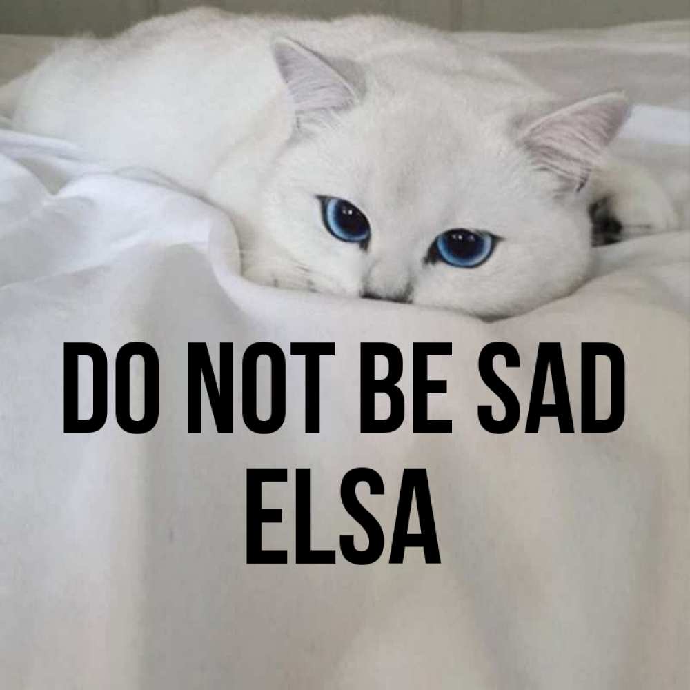Greetings card с именем, Elsa Do not be sad Голубоглазая кошка Greetings with text for free download 