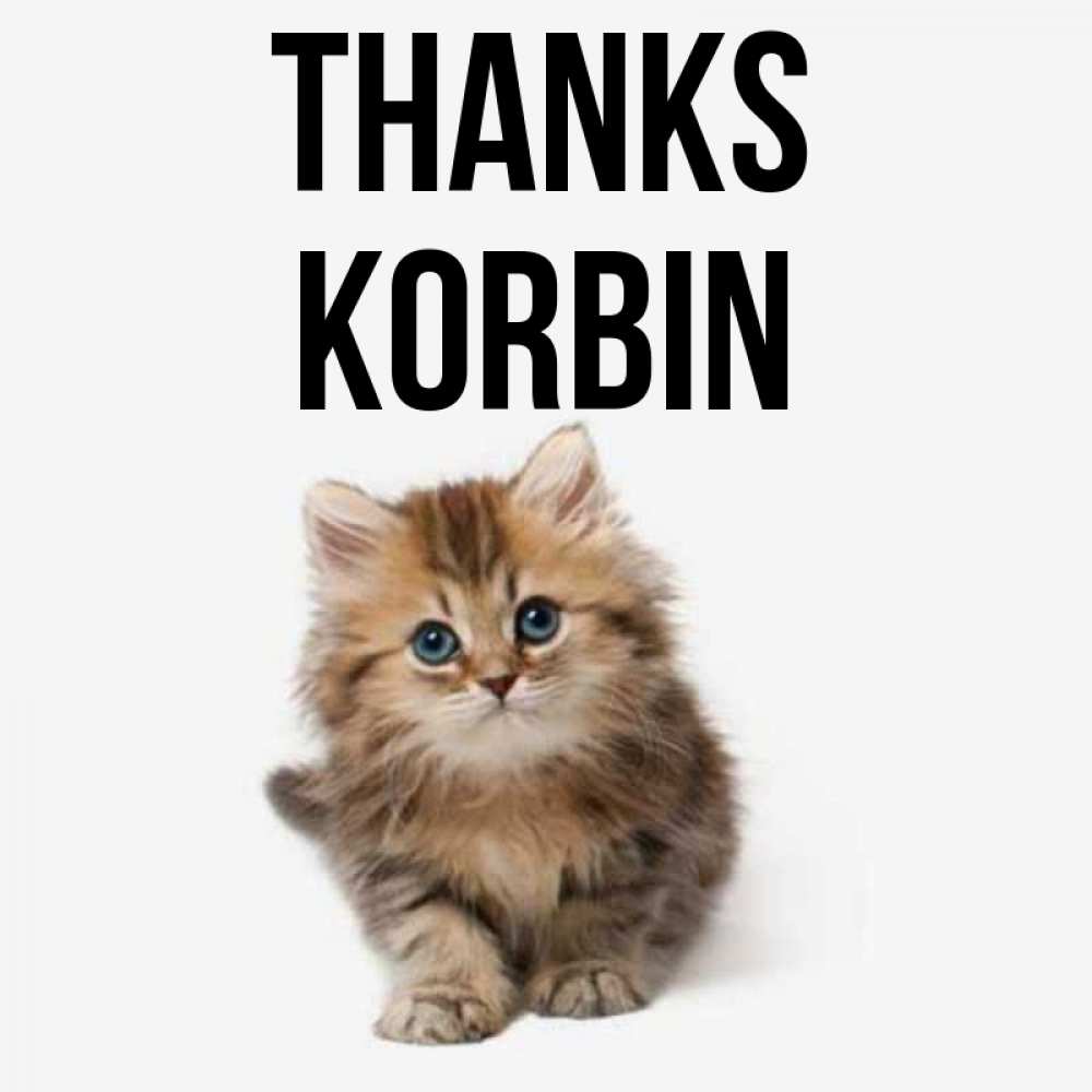 Greetings card с именем, Korbin Thanks пушистый котик Greetings with text for free download 