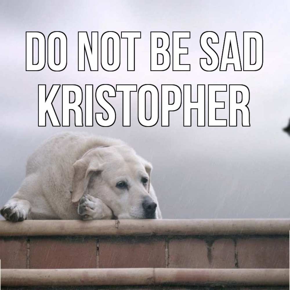 Greetings card с именем, Kristopher Do not be sad белый пес 1 Greetings with text for free download 