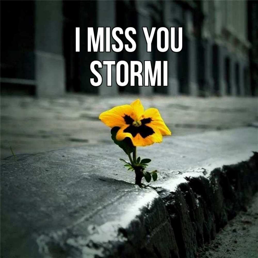Greetings card с именем, Stormi I miss you надеюсь будет лучше Greetings with text for free download 