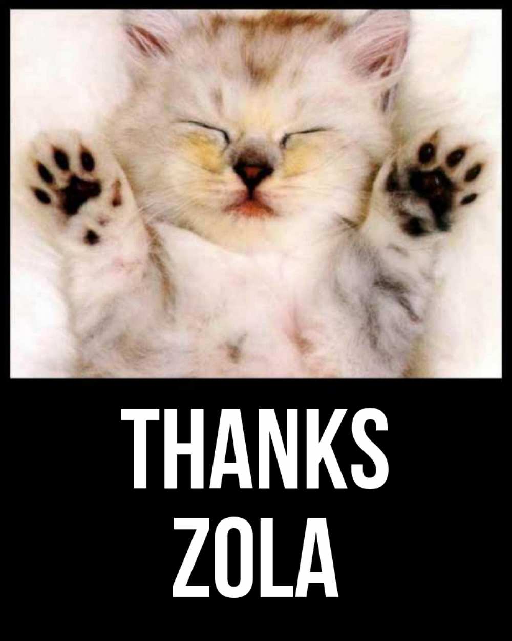 Greetings card с именем, Zola Thanks маленький котенок Greetings with text for free download 