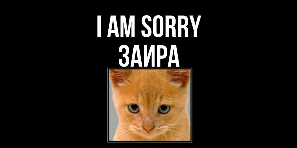 Greetings card с именем, Заира I am sorry рыжий грустный кот просит прощения Greetings with text for free download 