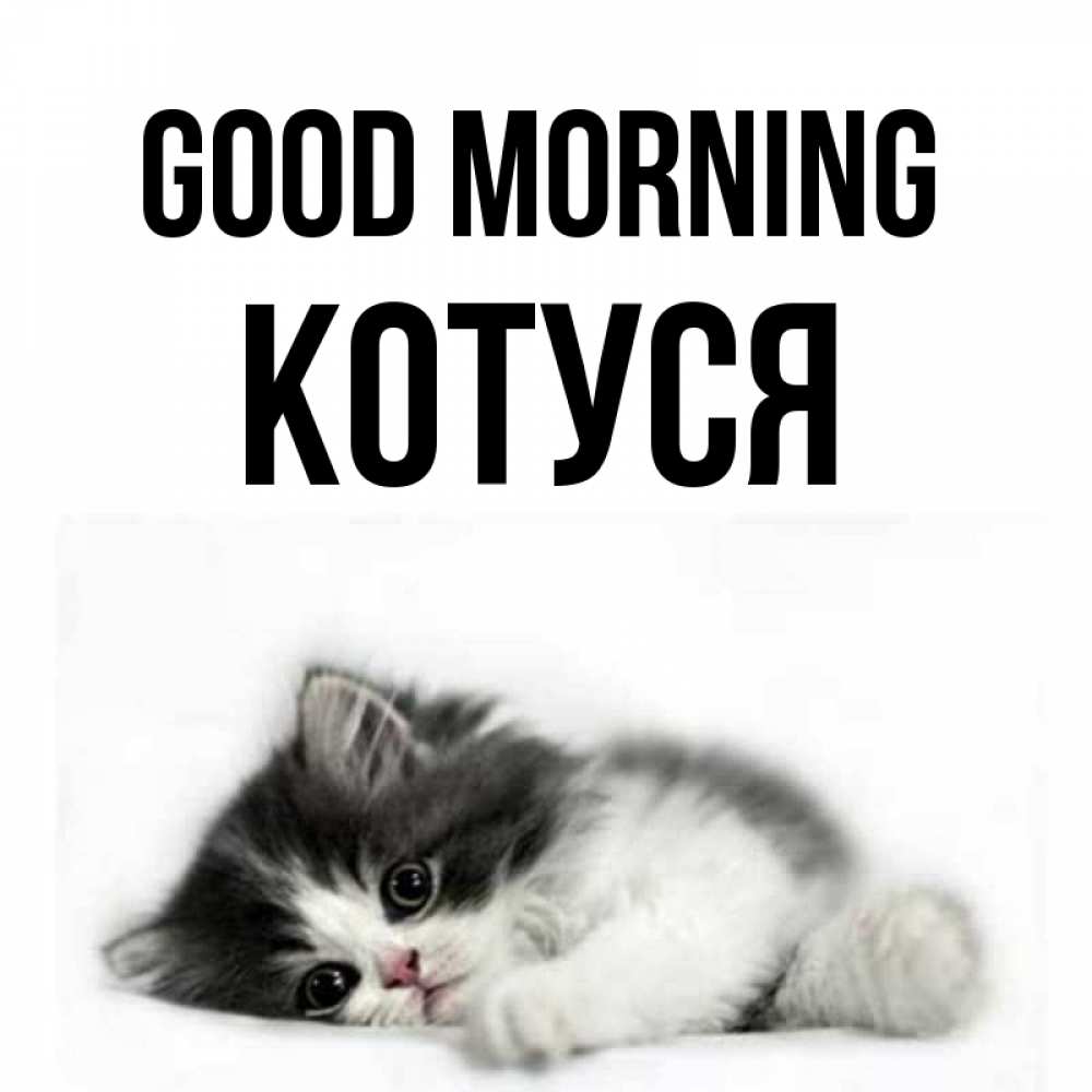 Greetings card с именем, Котуся Good morning кот лапки Greetings with text for free download 