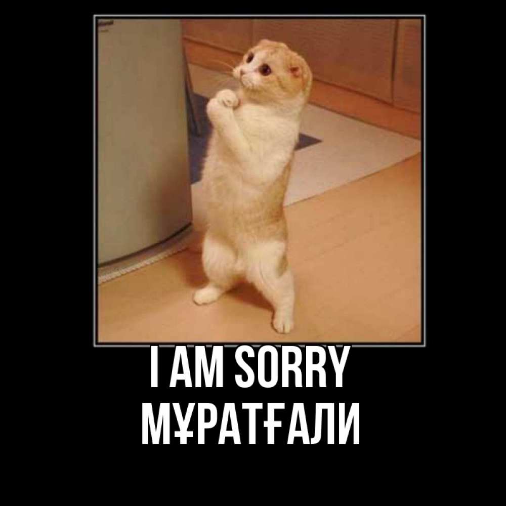 Greetings card с именем, Мұратғали I am sorry открытка с милым несчастным котиком просящим прощения Greetings with text for free download 