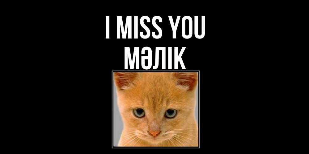 Greetings card с именем, МӘЛІК I miss you открытки рыжий котенок скучает по тебе Greetings with text for free download 