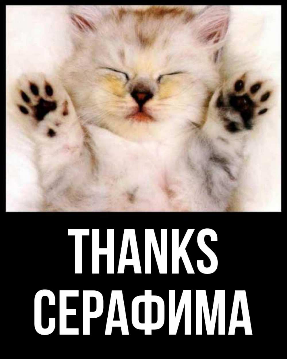 Greetings card с именем, Серафима Thanks маленький котенок Greetings with text for free download 