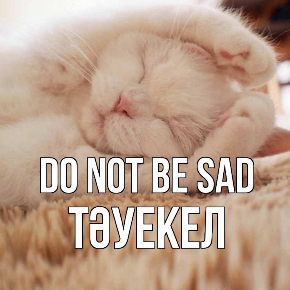 Greetings card с именем, ТӘУЕКЕЛ Do not be sad белый кот Greetings with text for free download 