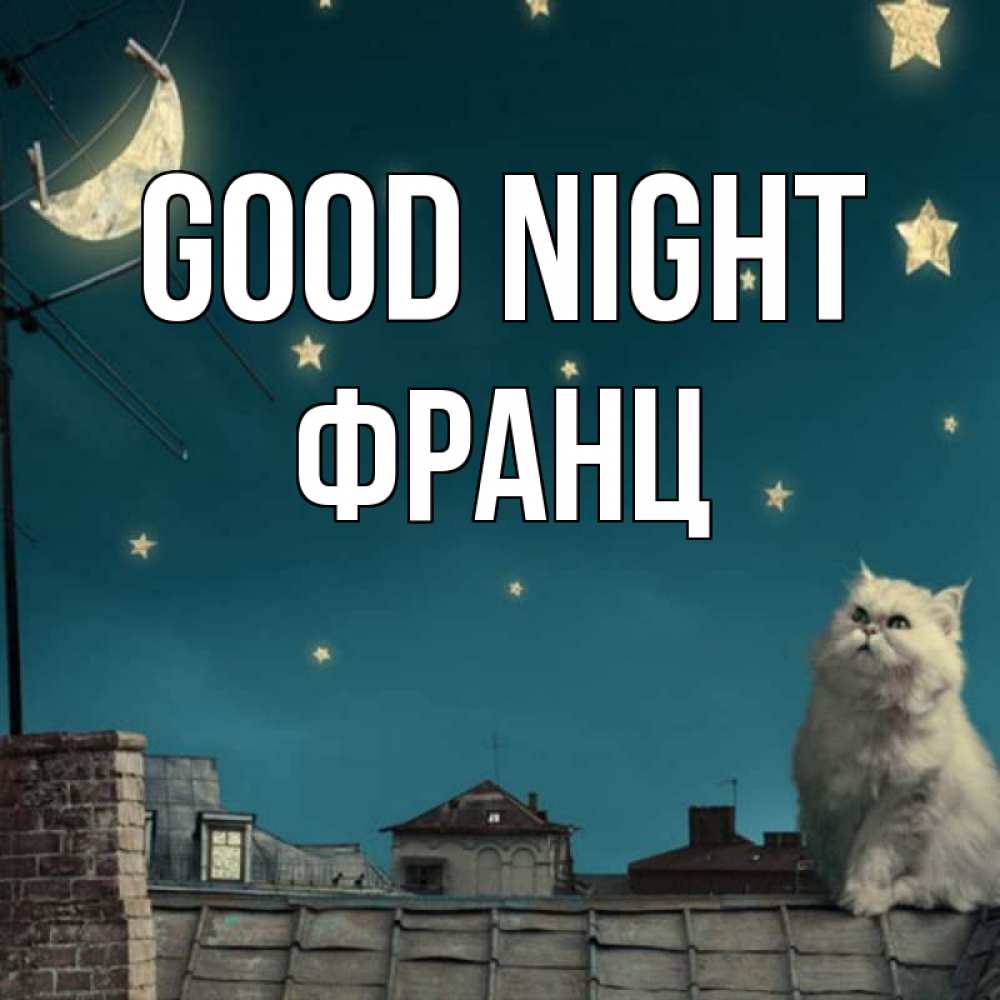 Greetings card с именем, Франц Good night белый кот сидит на крыше Greetings with text for free download 