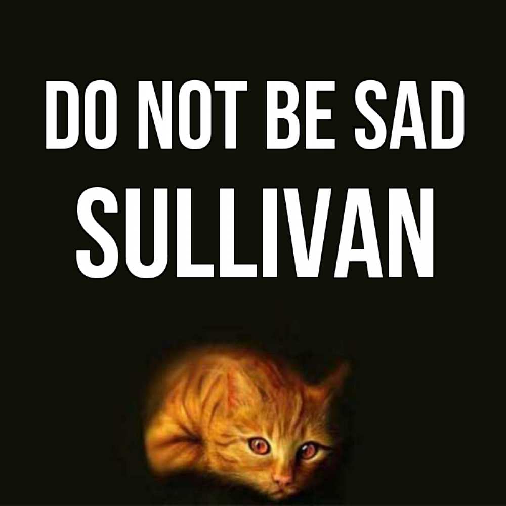 Greetings card с именем, Sullivan Do not be sad лежащий кот в темноте Greetings with text for free download 