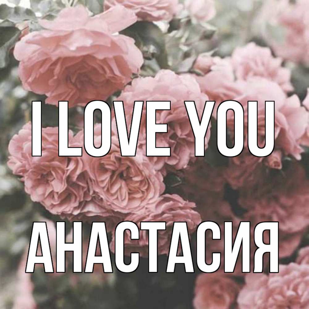 Greetings card с именем, Анастасия I love you розы 3 Greetings with text for free download 