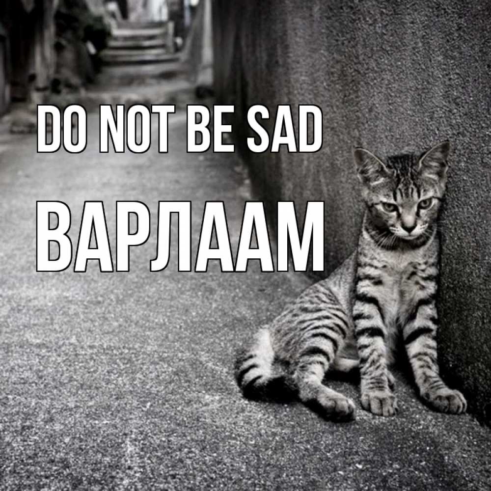 Greetings card с именем, Варлаам Do not be sad скучающий котик Greetings with text for free download 