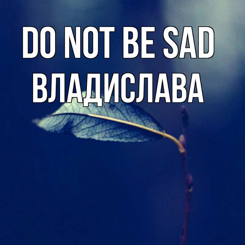 Greetings card с именем, Владислава Do not be sad растение Greetings with text for free download 