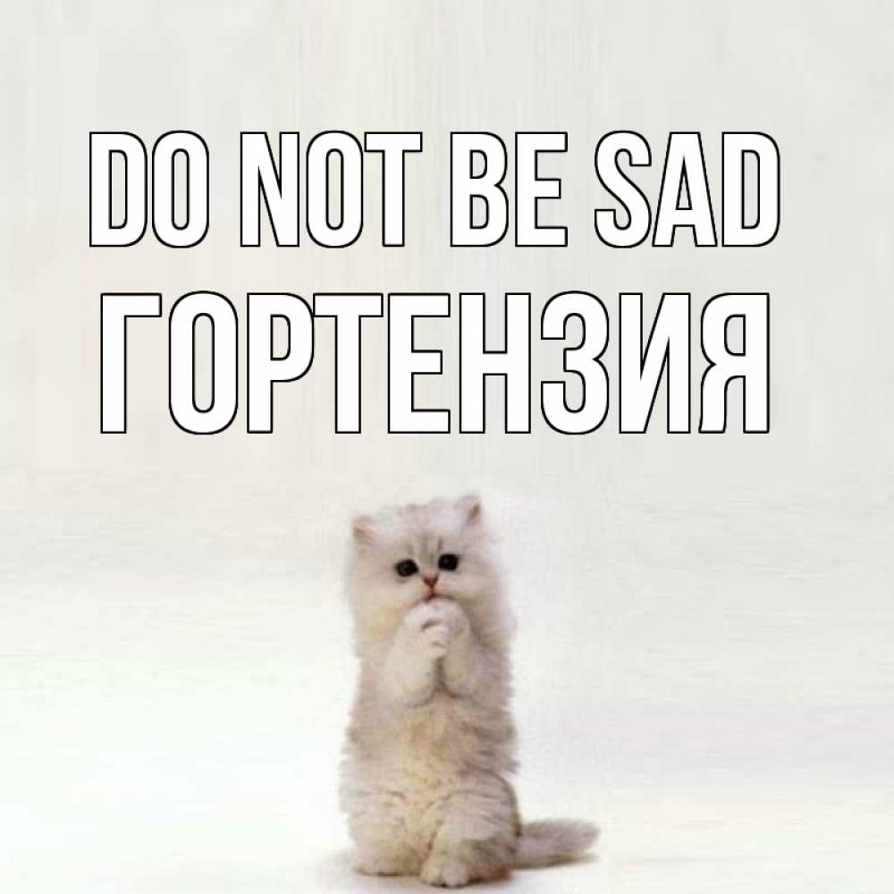 Greetings card с именем, Гортензия Do not be sad грустный кот Greetings with text for free download 