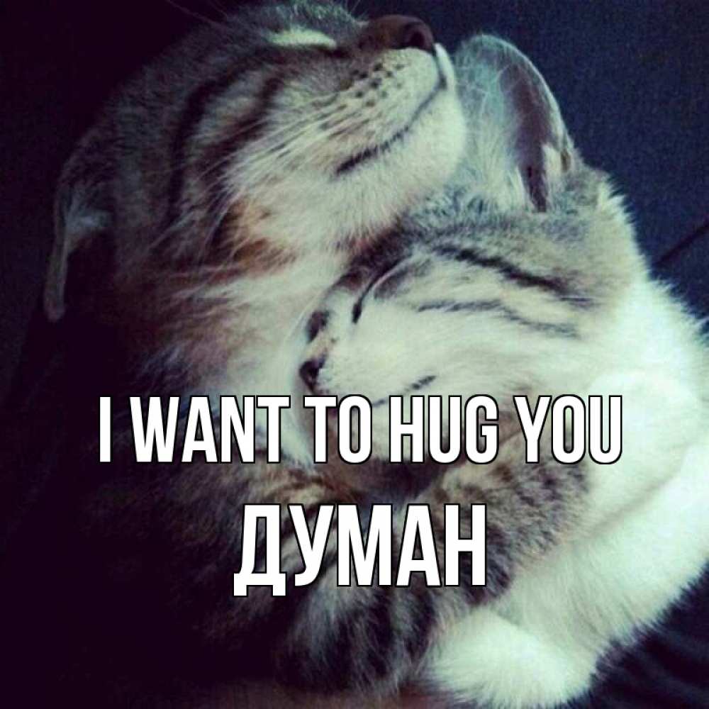 Greetings card с именем, Думан I want to hug you полосатики Greetings with text for free download 