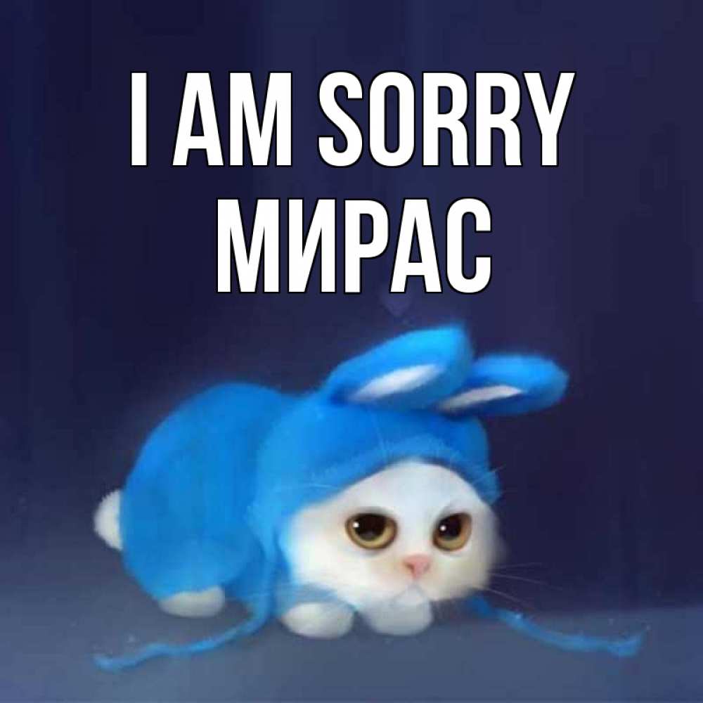 Greetings card с именем, МИРАС I am sorry невинный котозай просит прощения Greetings with text for free download 