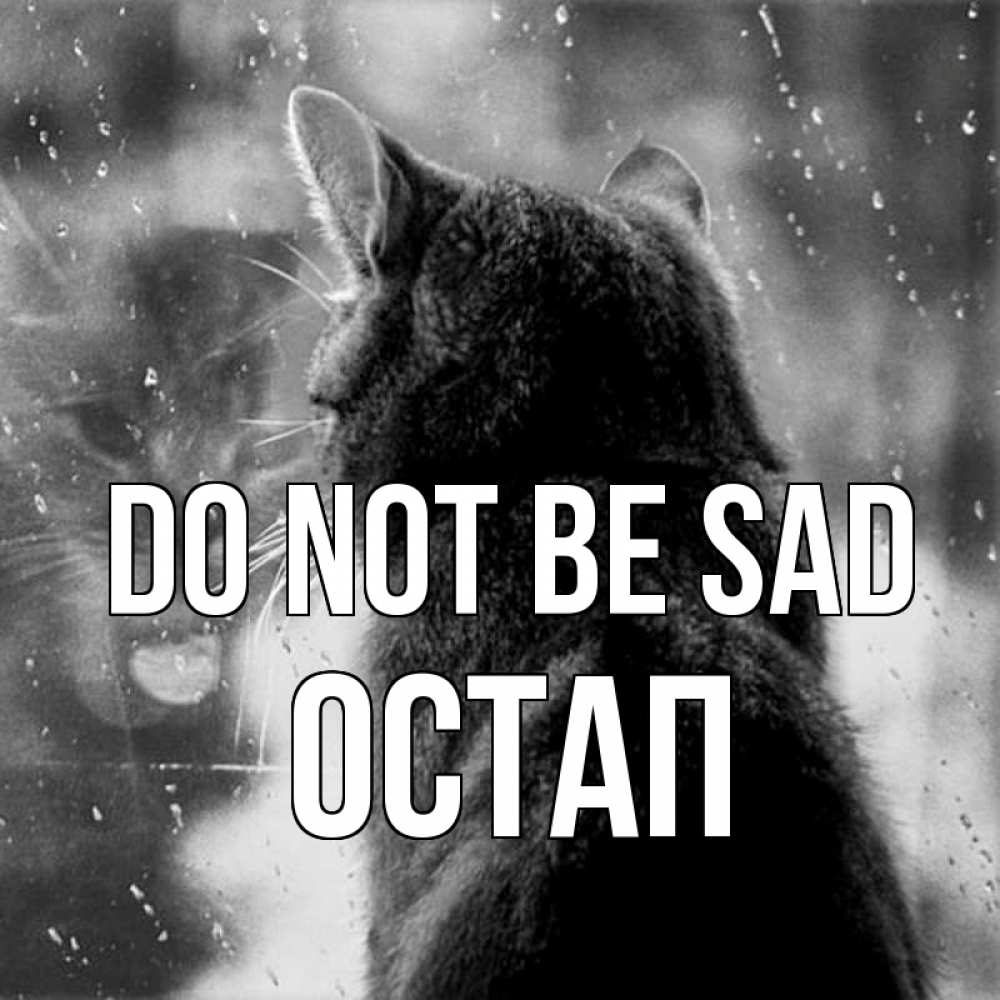 Greetings card с именем, Остап Do not be sad отражение кота 1 Greetings with text for free download 