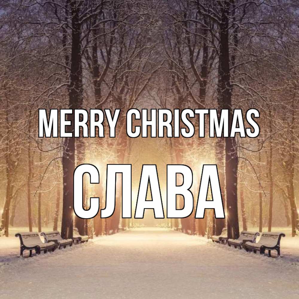 Greetings card с именем, Слава Merry Christmas зима, парк, фонарь, лес Greetings with text for free download 
