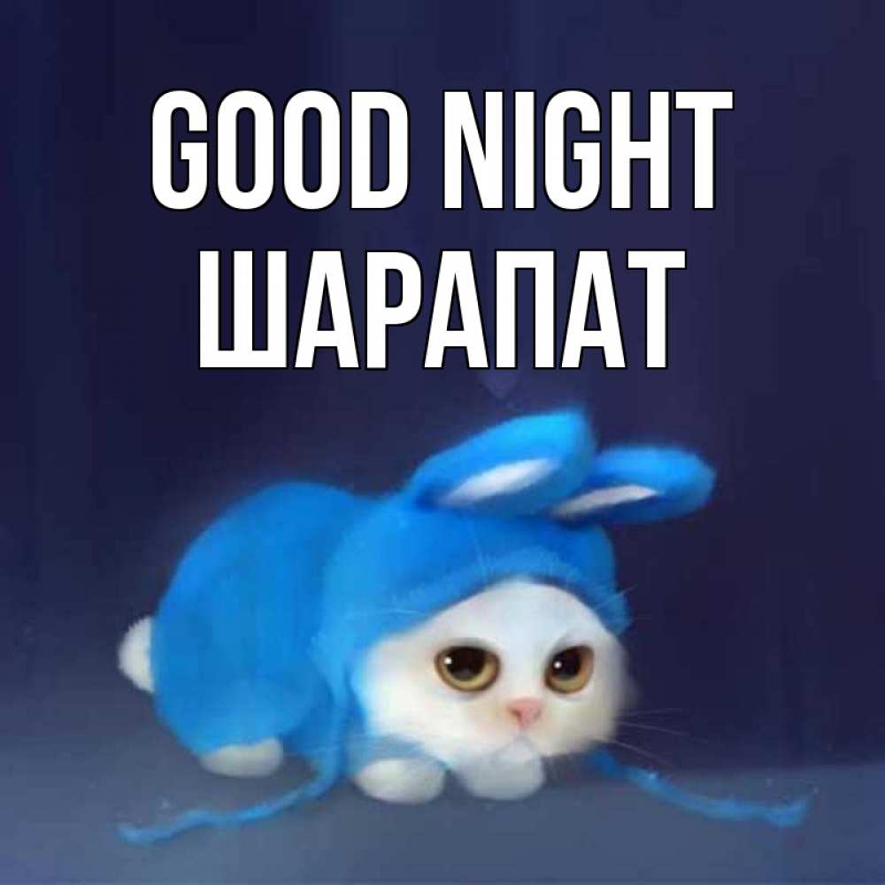 Greetings card с именем, ШАРАПАТ Good night кот в голубом костюме кролика с ушками Greetings with text for free download 