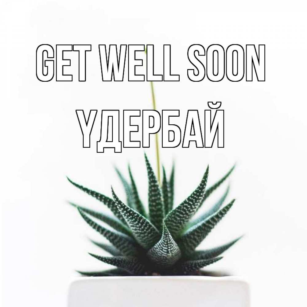 Greetings card с именем, ҮДЕРБАЙ Get well soon короче это непонятная колючка Greetings with text for free download 