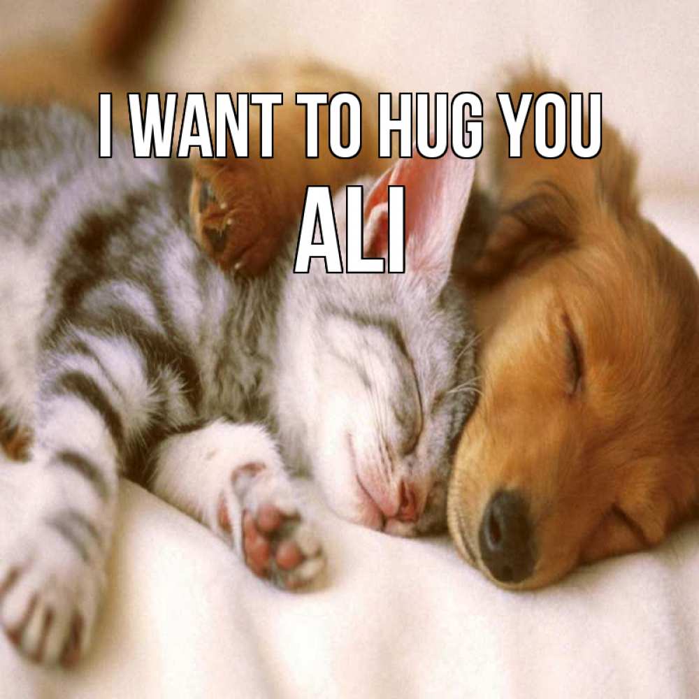 Greetings card с именем, Ali I want to hug you пес и котенок Greetings with text for free download 